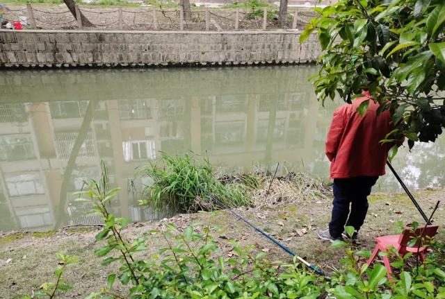 淘寶拼多多熱銷魚籠餌料貨源拿貨是真的嗎，淘寶拼多多熱銷魚籠餌料貨源拿貨是真的嗎可信嗎？