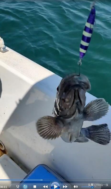 德州釣魚組魚餌怎么樣，德州釣魚組魚餌多少錢？