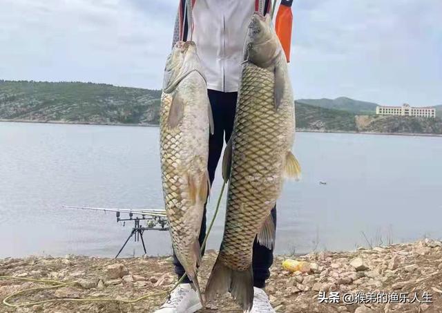德州釣組釣法，德州釣組控餌手法？