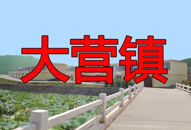 拼多多賣殯葬用品，拼多多拼棺材？