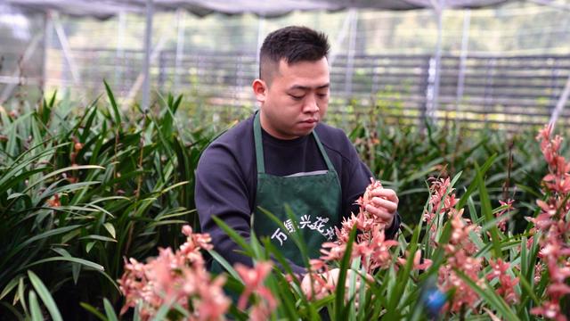 淘寶拼多多熱銷朝蘭貨源拿貨是真的嗎，淘寶拼多多熱銷朝蘭貨源拿貨是真的嗎安全嗎？