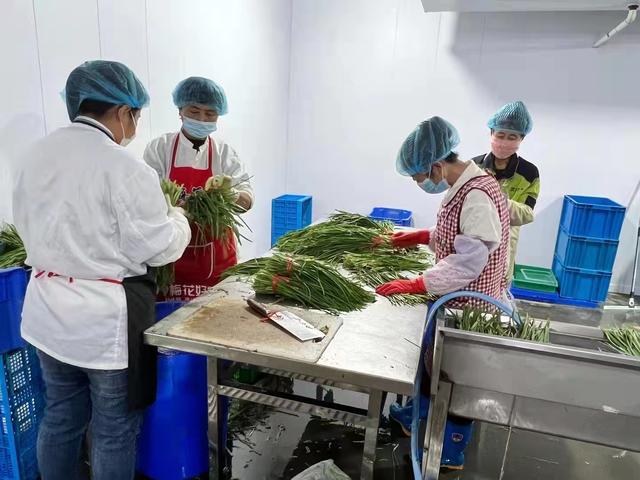 批發(fā)青菜生意從什么網(wǎng)上找貨源呢，做蔬菜批發(fā)怎么找貨源？