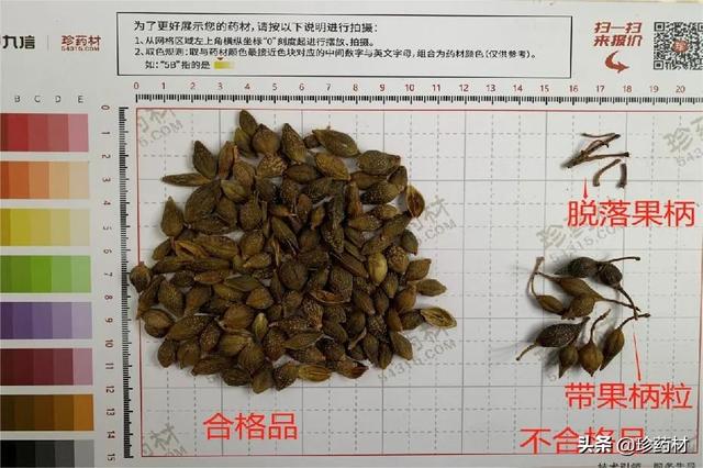 夏橙批發(fā)價(jià)格，夏橙批發(fā)價(jià)格多少？