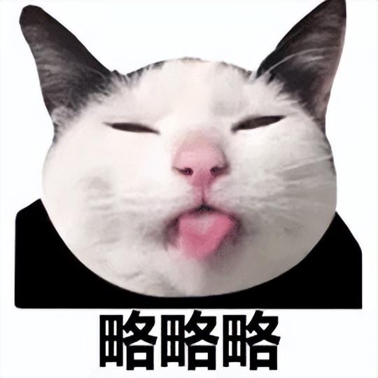 淘寶拼多多熱銷全樂貓糧貨源拿貨是真的嗎，淘寶拼多多熱銷全樂貓糧貨源拿貨是真的嗎安全嗎？