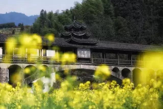 無貨源電商運營模式，無貨源電商運營模式有哪些？