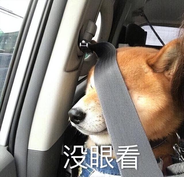 淘寶dw手表是真的嗎，微商dw手表二百多？