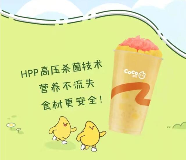 coco奶茶代理費，coco奶茶代理加盟費多？