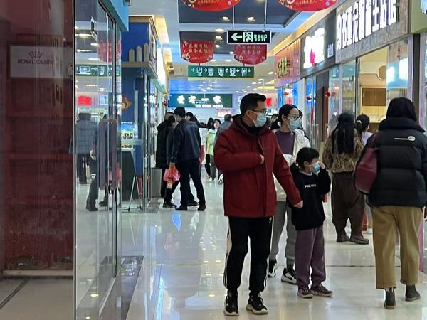 淘寶寵物商店網(wǎng)店貨源怎么找不到，淘寶寵物商店網(wǎng)店貨源怎么找的？