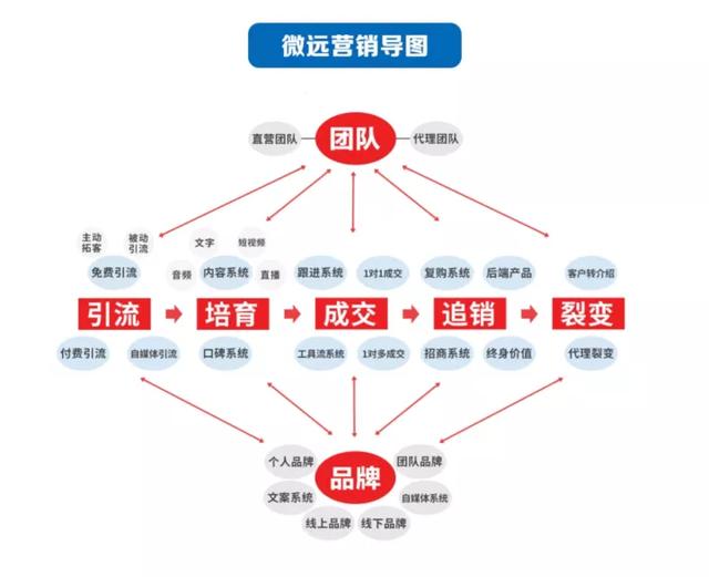微商正規(guī)膏藥都有哪家，微商正規(guī)膏藥都有哪家店？