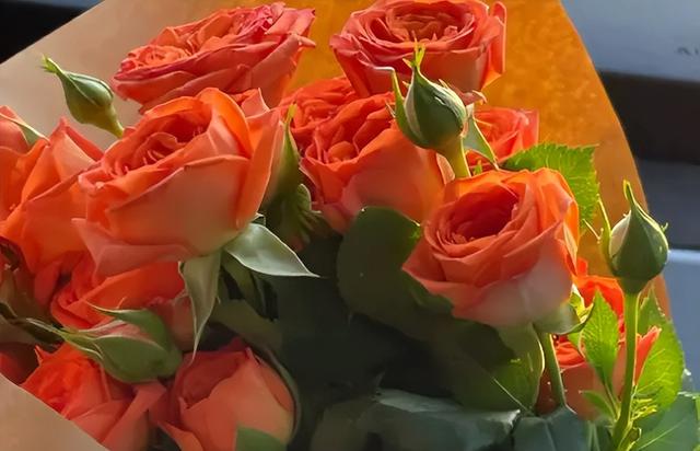 鮮花貨源在線批發(fā)采購平臺，鮮花貨源在線批發(fā)采購平臺有哪些？