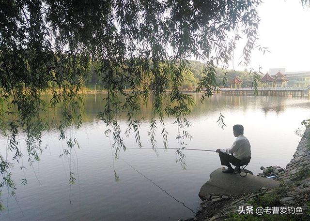 淘寶拼多多熱銷魚籠批發(fā)貨源拿貨是真的嗎，淘寶拼多多熱銷魚籠批發(fā)貨源拿貨是真的嗎安全嗎？