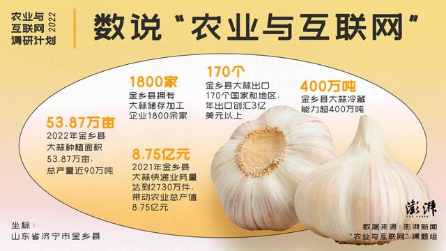 求購大蒜種子哪里有賣的，大蒜種子哪里可以買到？