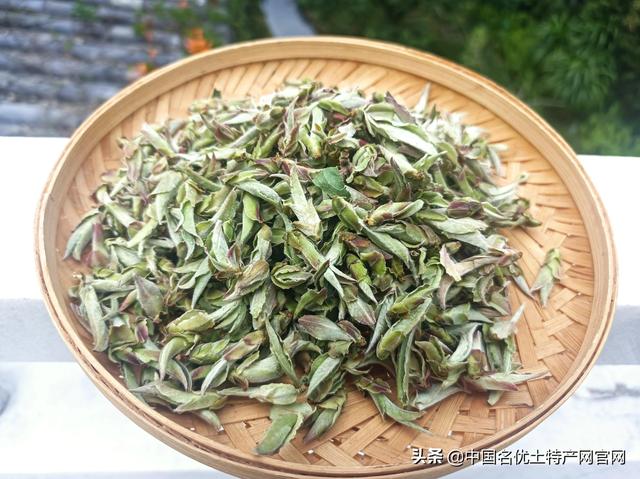 網(wǎng)紅時代消退？云南千萬個帶貨主播何去何從？