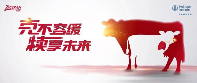 淘寶拼多多熱銷犢牛服貨源拿貨是真的嗎，淘寶拼多多熱銷犢牛服貨源拿貨是真的嗎安全嗎？