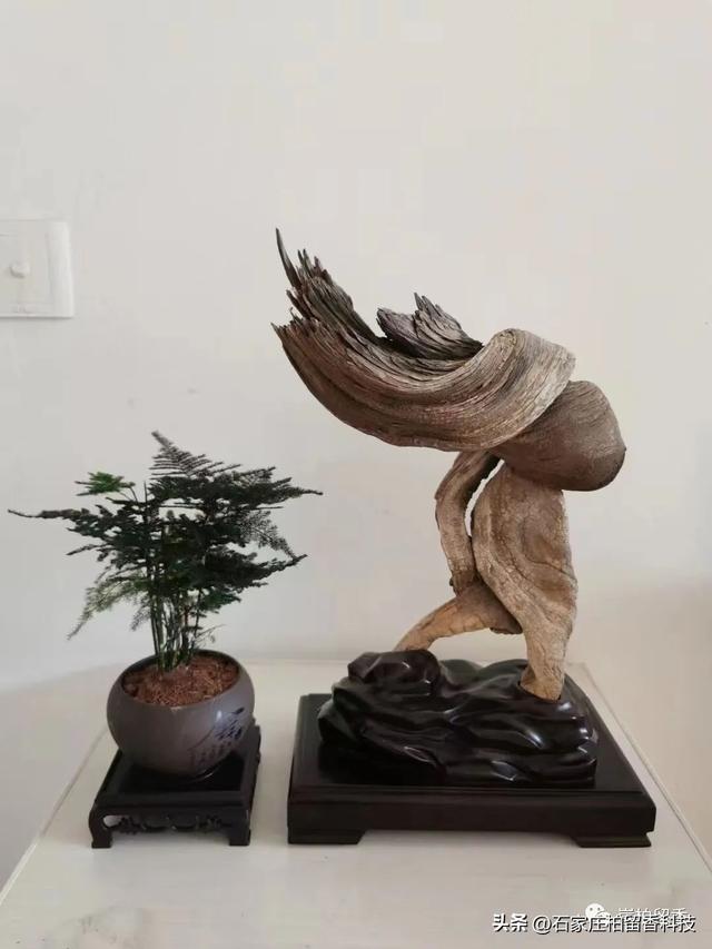 仙游手串京東貨源批發(fā)價(jià)多少，仙游手串京東貨源批發(fā)價(jià)多少錢？