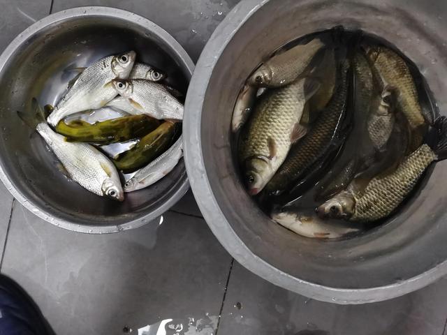 拼多多買魚鉤，拼多多買魚鉤怎么這么便宜？