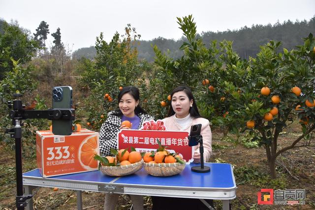 四川年貨直播電商貨源網(wǎng)，四川年貨直播電商貨源網(wǎng)站？
