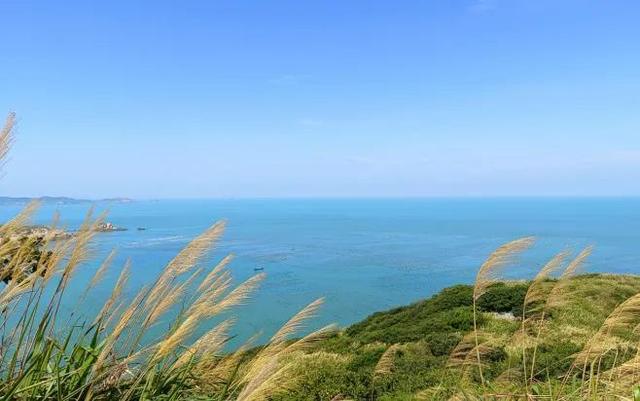嵊泗海鮮干貨市場(chǎng)，嵊泗海鮮有哪些？