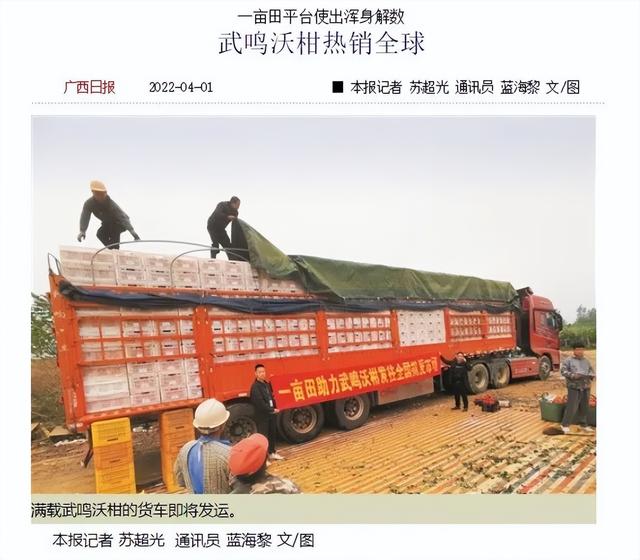 水果代理微信一手貨源，水果貨源免費代理？