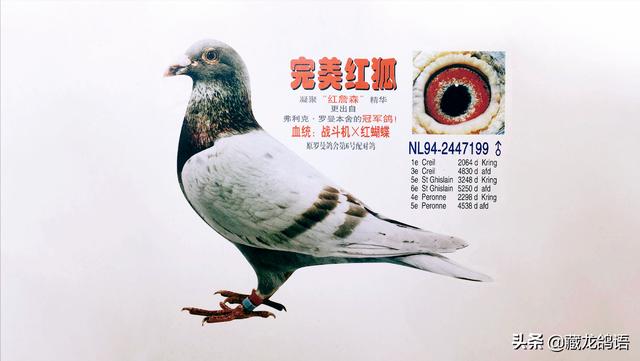 拼多多買的狗疫苗真的假的，拼多多上的疫苗是真的嗎？