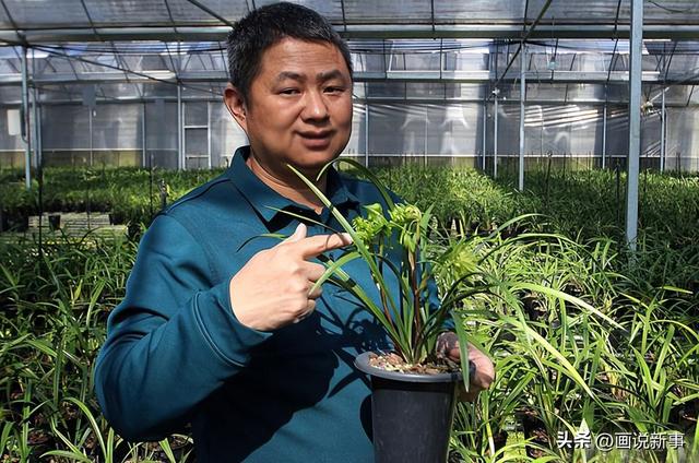淘寶如何找花卉基地貨源呢，淘寶如何找花卉基地貨源呢圖片？