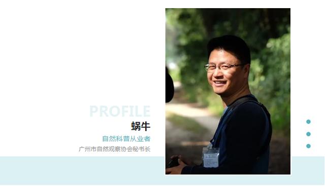 淘寶拼多多熱銷觀鳥器貨源拿貨是真的嗎，淘寶拼多多熱銷觀鳥器貨源拿貨是真的嗎安全嗎？