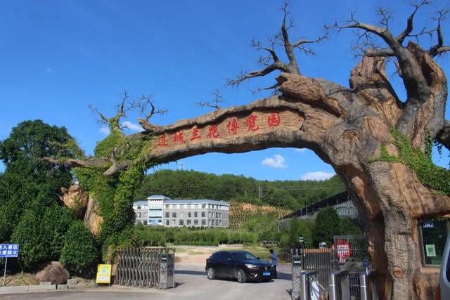 淘寶拼多多熱銷中國黨旗貨源拿貨是真的嗎，？