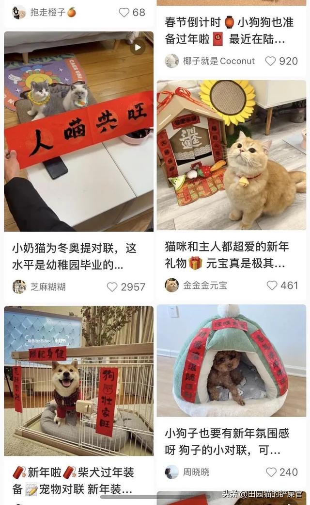 拼多多生鮮貨源，拼多多生鮮貨源怎么找？
