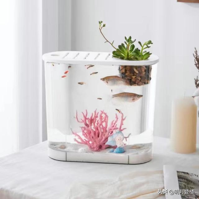 淘寶拼多多熱銷魚(yú)缸帶柜貨源拿貨是真的嗎，淘寶拼多多熱銷魚(yú)缸帶柜貨源拿貨是真的嗎安全嗎？