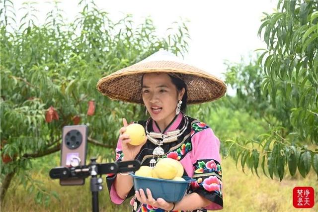淘寶拼多多熱銷成人桃子貨源拿貨是真的嗎，淘寶拼多多熱銷成人桃子貨源拿貨是真的嗎安全嗎？