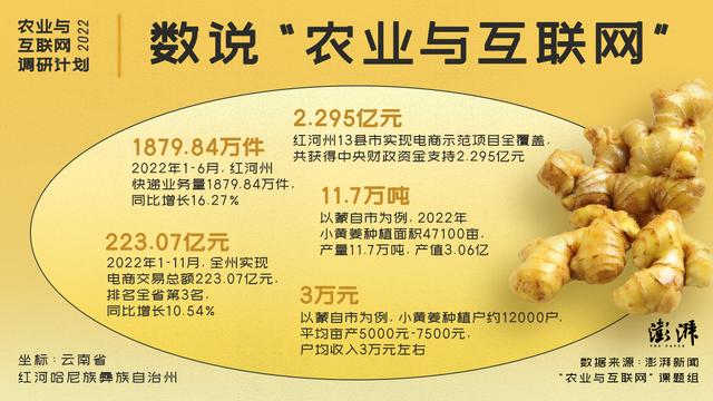 淘寶拼多多熱銷姜貨源拿貨是真的嗎，淘寶拼多多熱銷姜貨源拿貨是真的嗎安全嗎？